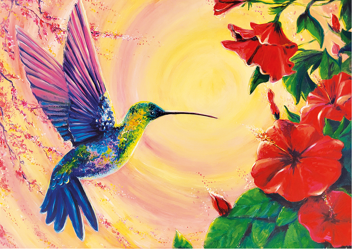 colibri muestra colibri muestra